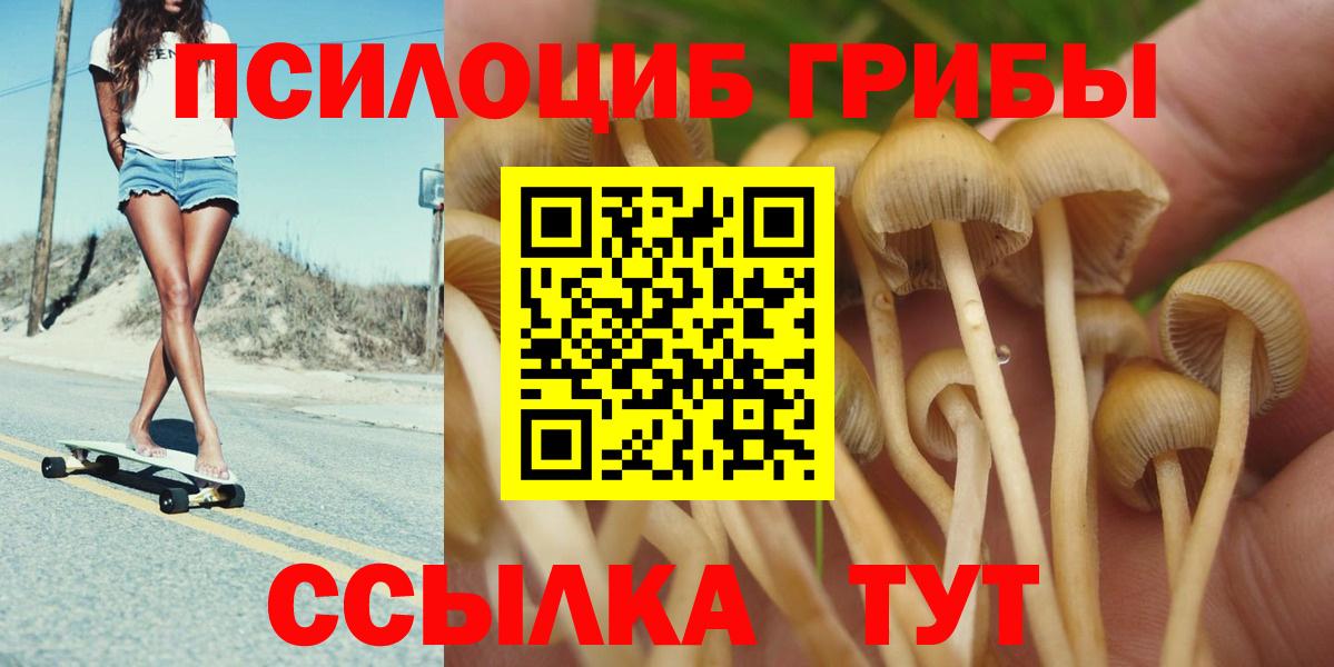 Псилоцибиновые грибы GOLDEN TEACHER Дедовск